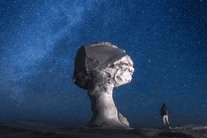 Белая и Черная пустыня 2 дня