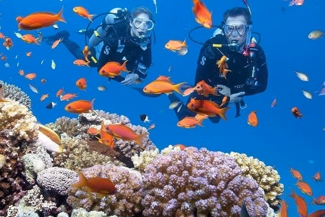 Остров Оранж с дайвингом