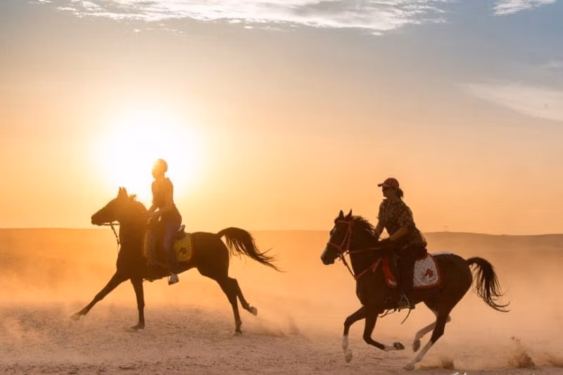 Тур на лошадях на закате