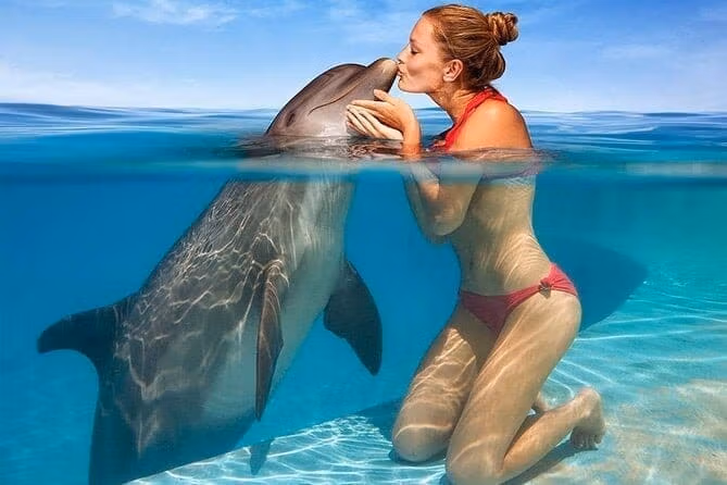 Плавание с дельфинами