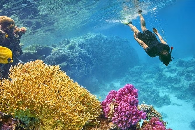 Шарм-Эль-Нага - коралловый заповедник в Сома-Бей