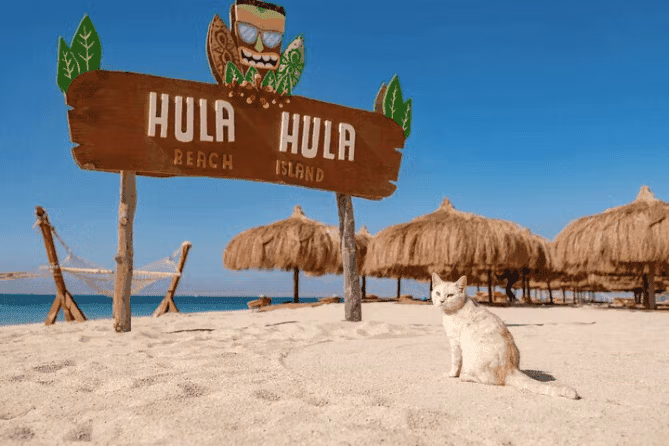 Остров Парадайз (Hula Hula)