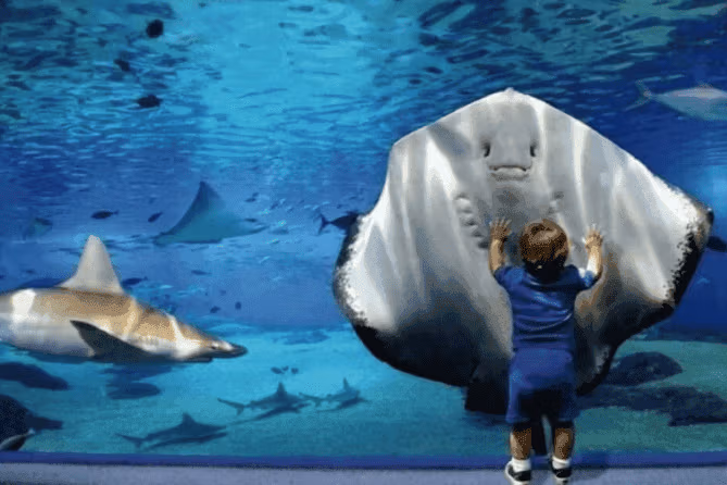 Гранд Аквариум и Зоопарк