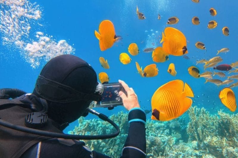 Остров Magawish с дайвингом