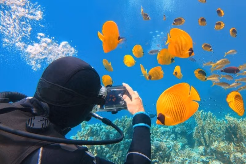 Остров Magawish с дайвингом