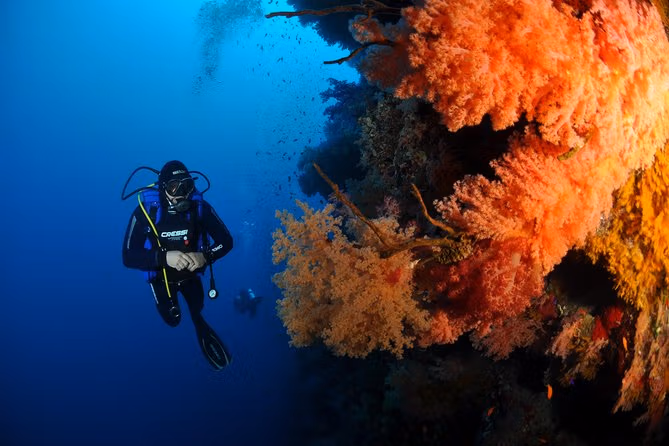 Остров Парадайз (Hula Hula) с дайвингом