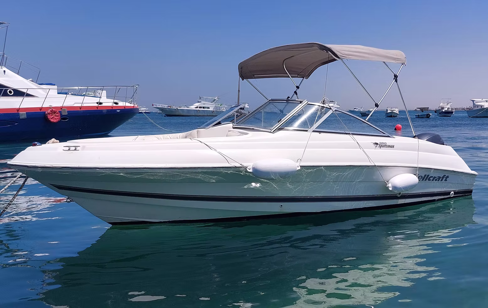 Скоростной катер Wellcraft (до 4х человек) — изображение 3