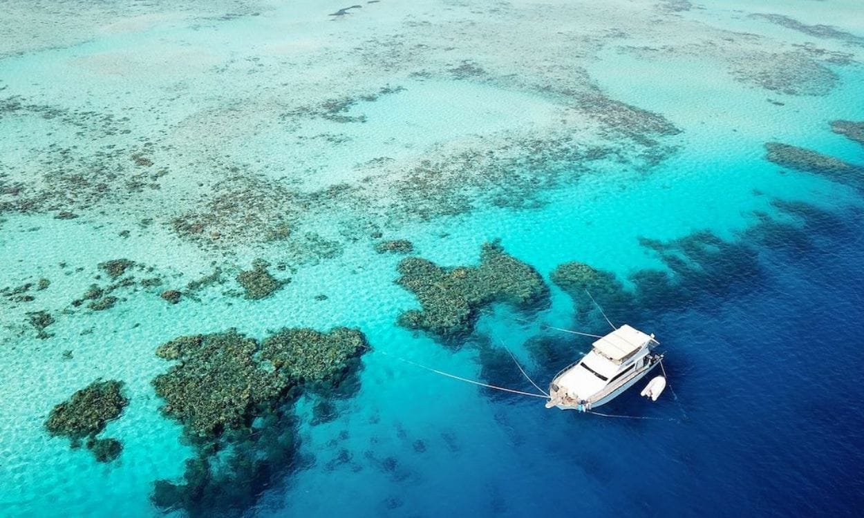 Остров Озирея (Ozirea Island) — морской отдых и снорклинг в Красном море — изображение 2