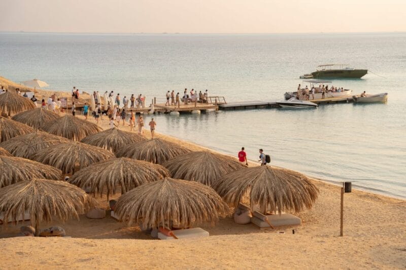 Остров Озирея (Ozirea Island) — морской отдых и снорклинг в Красном море