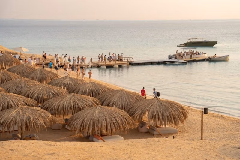 Остров Озирея (Ozirea Island) — морской отдых и снорклинг в Красном море